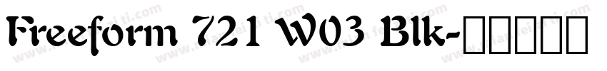 Freeform 721 W03 Blk字体转换